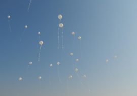 DSCN8173
