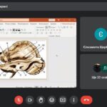 Конкурс з анатомії