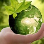 У рамках екологічного виховання