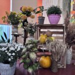 Аромат натхнення: квіти в нашому житті