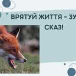 Врятуй життя – зупини сказ!