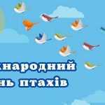 Пташиний дивосвіт