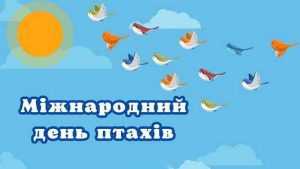 Пташиний дивосвіт